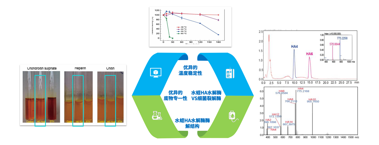 弘康未來(lái)-產(chǎn)品介紹2024-8.jpg